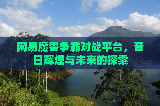 网易魔兽争霸对战平台，昔日辉煌与未来的探索