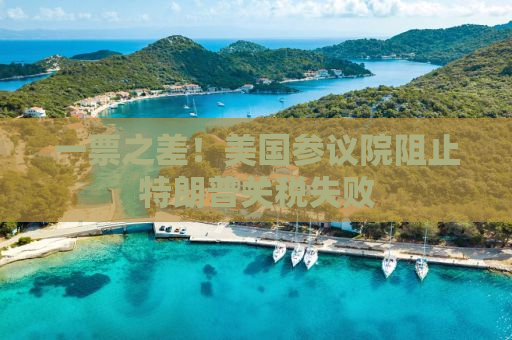 一票之差！美国参议院阻止特朗普关税失败