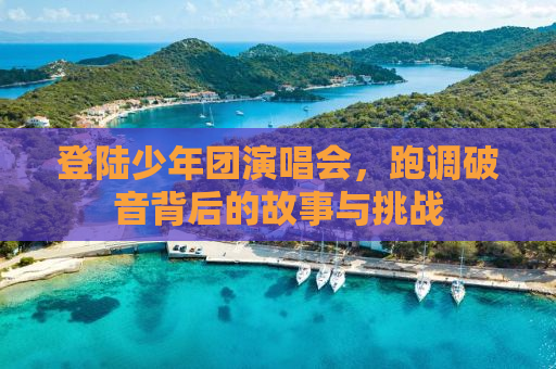登陆少年团演唱会，跑调破音背后的故事与挑战