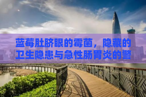 蓝莓肚脐眼的霉菌，隐藏的卫生隐患与急性肠胃炎的警钟