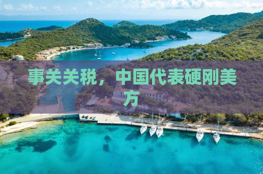 事关关税，中国代表硬刚美方