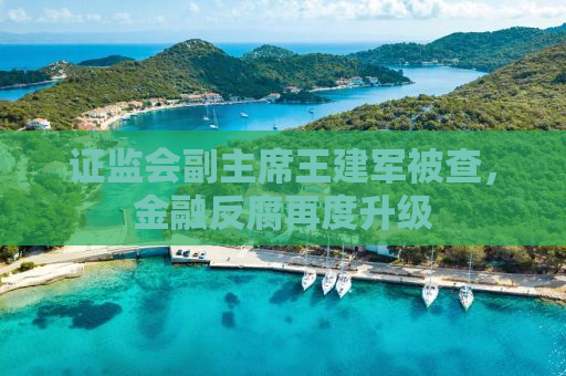 证监会副主席王建军被查，金融反腐再度升级