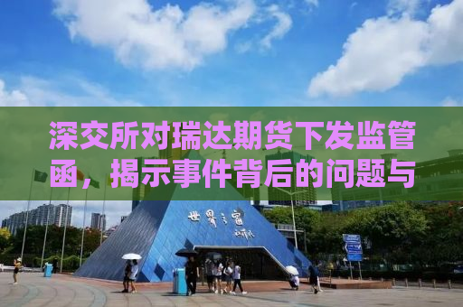 深交所对瑞达期货下发监管函，揭示事件背后的问题与启示