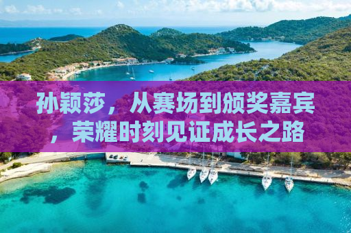 孙颖莎，从赛场到颁奖嘉宾，荣耀时刻见证成长之路