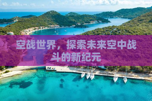 空战世界，探索未来空中战斗的新纪元